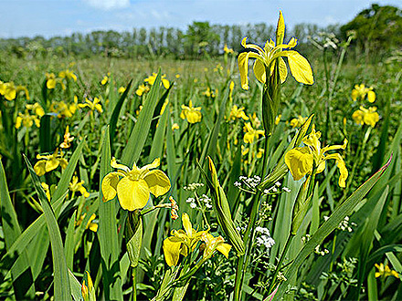 基地展示標(biāo)題三