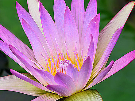 基地展示標(biāo)題四