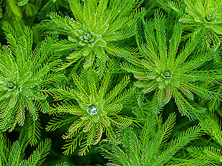 基地展示標(biāo)題六