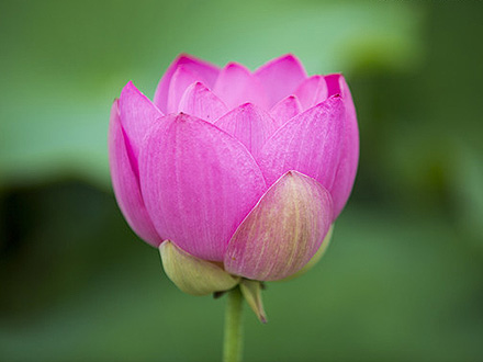 產(chǎn)品中心標(biāo)題四