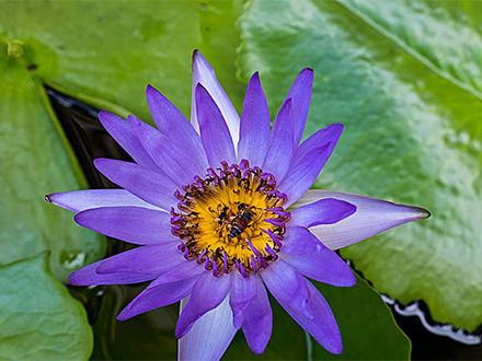 產(chǎn)品中心標(biāo)題五