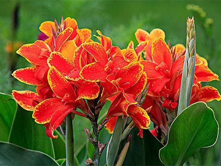 產(chǎn)品中心標(biāo)題六