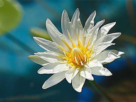 產(chǎn)品中心標(biāo)題七